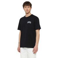 dickies-t-shirt-a-manches-courtes-aitkin-chest