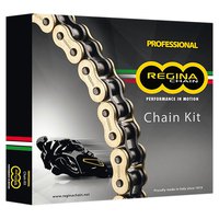 Regina 525/137 ZRP Rivet Z Ring Chain/Cassette/Chaingring Kit