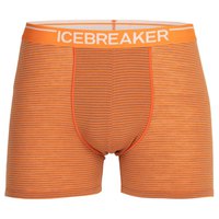 icebreaker-tronc-anatomica