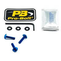 pro-bolt-scr-3-sk307b-windshield-screws