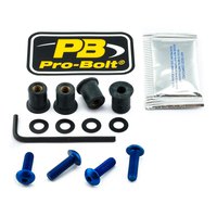 pro-bolt-scr-4-sk056b-windshield-screws