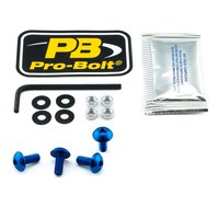 pro-bolt-scr-4-co-sk410b-windshield-screws