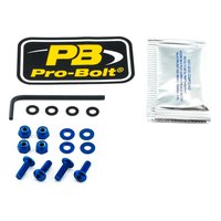 pro-bolt-scr-4-nu-sk412b-windshield-screws