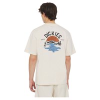 Dickies Beach short sleeve T-shirt