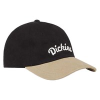 dickies-keysville-czapka