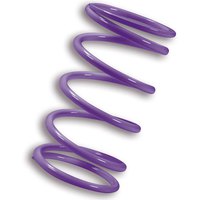 malossi-violeta-kymco-ak550-variator-einstellfeder