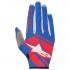Alpinestars Neo Gloves
