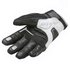 Garibaldi Suntech Gloves