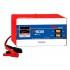 Ferve Battery Charger Dual 24 95Ah F908